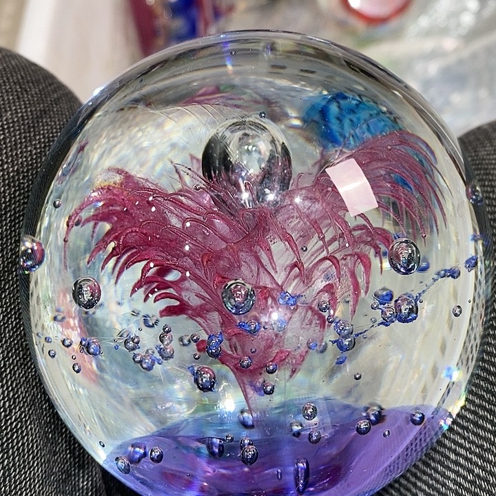 微瑕156666655385569969