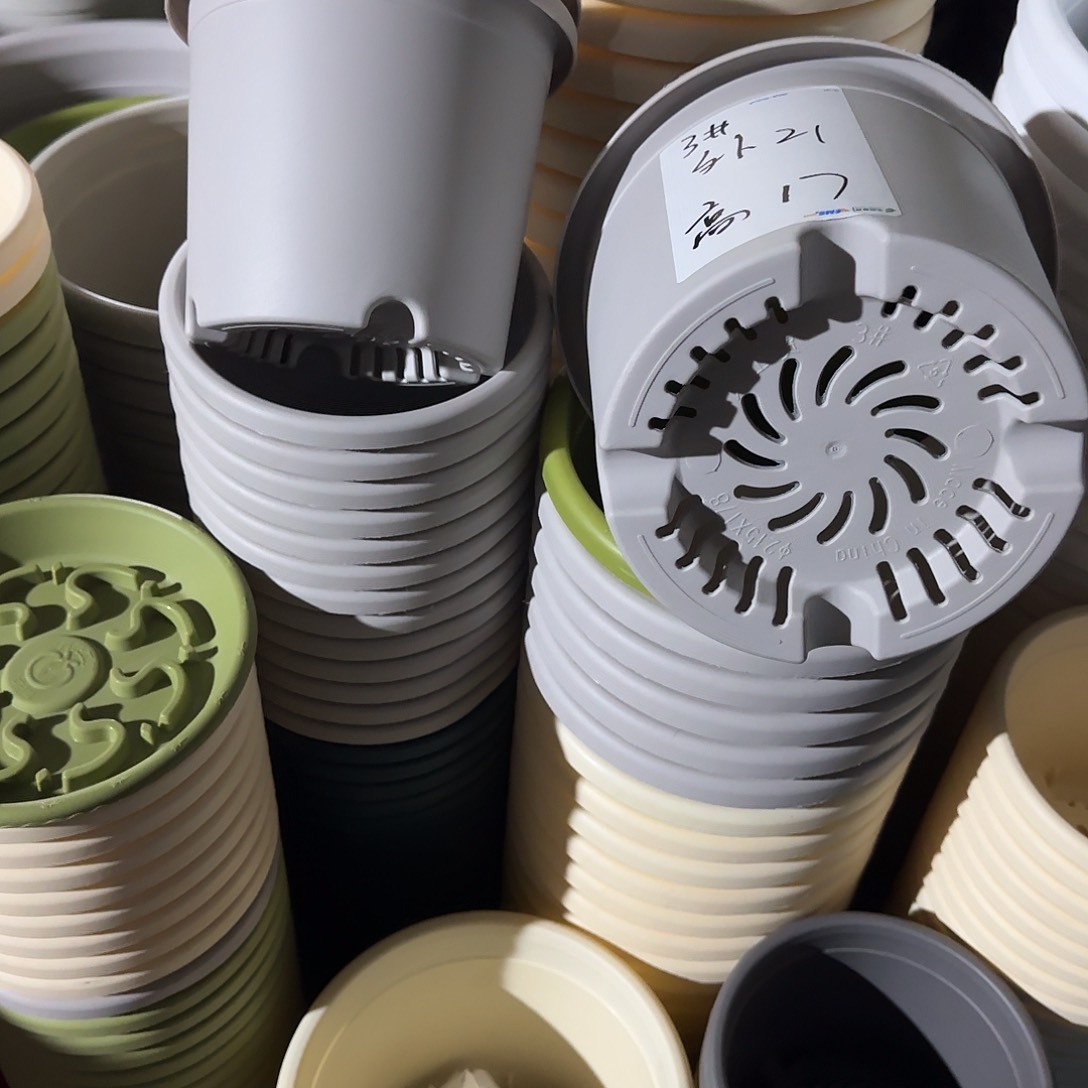 树脂四季6号无托5个白色