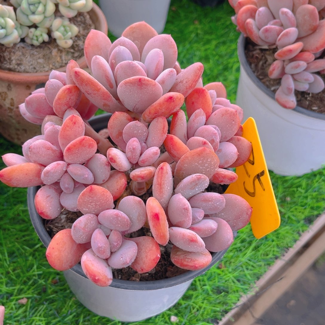 用****325dfghjjjjjknj