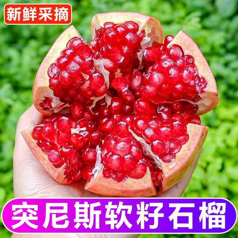 【现摘现发】会理突尼斯青皮软籽石榴孕妇石榴应季水果产地直发qg
