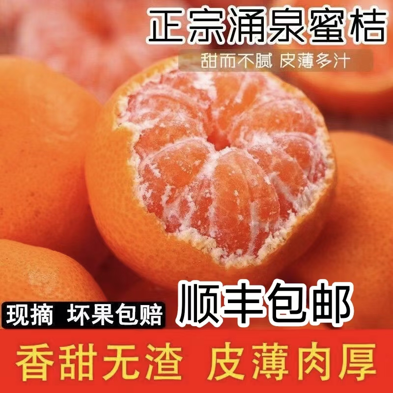 7浙江临海正宗涌泉蜜橘宫川产地发台州高山无核无渣现摘精美包装浙江省