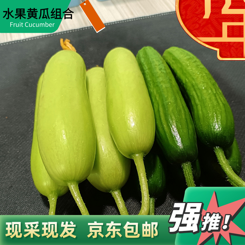 水果黄瓜组合基地现栽现发净重3斤（青皮乳瓜约2斤+白玉乳瓜1斤）水果黄瓜