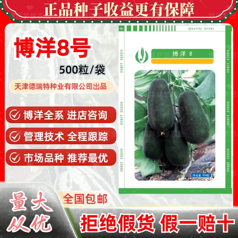 博洋8号甜瓜种子天津德瑞特种业有限公司冬瓜小可爱高糖酥脆香甜