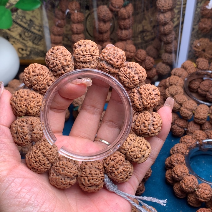 【闪购商品】金刚菩提手串22尺寸古龙