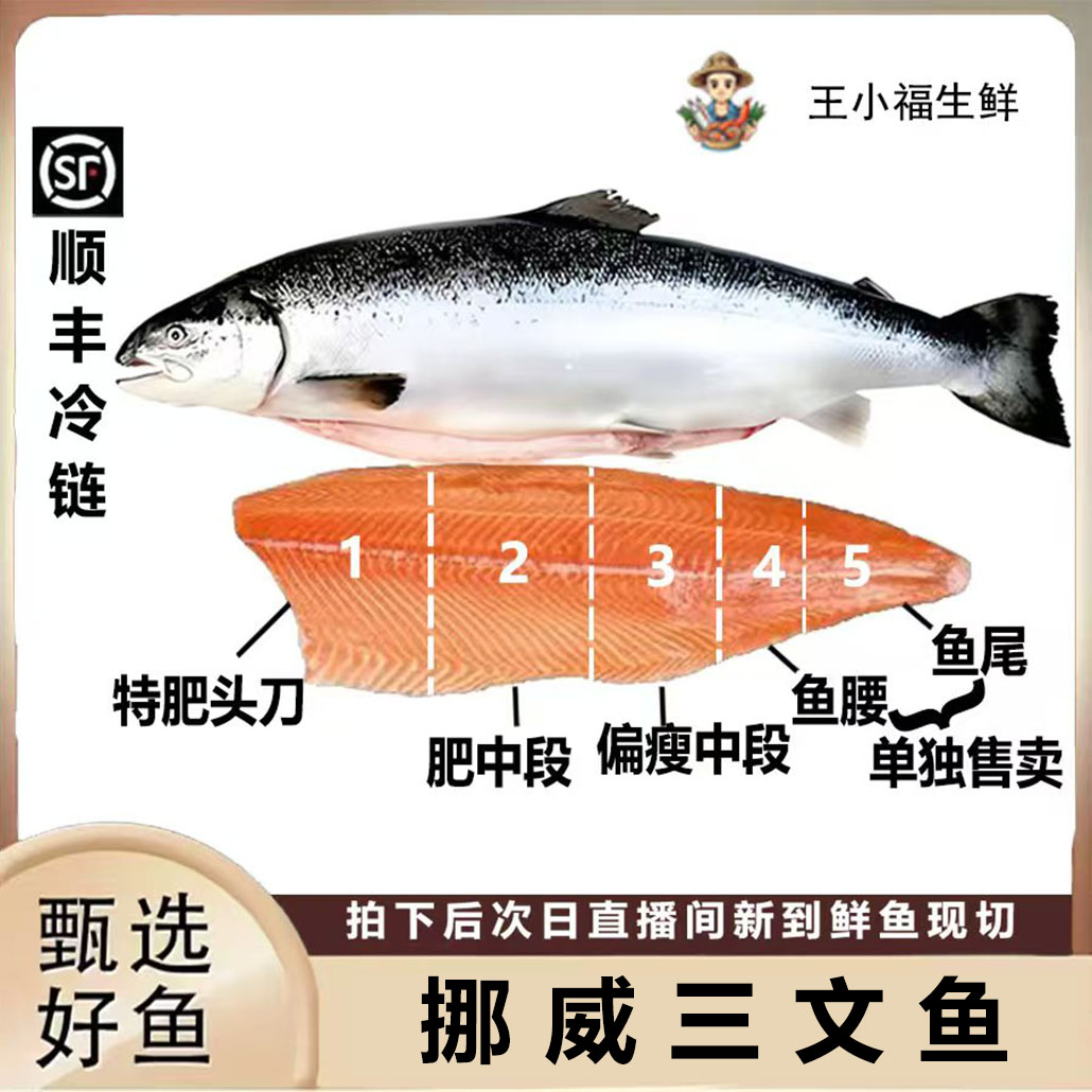 【特肥头刀】挪威三文鱼现场称重新日期大西洋鲑鱼带皮称重