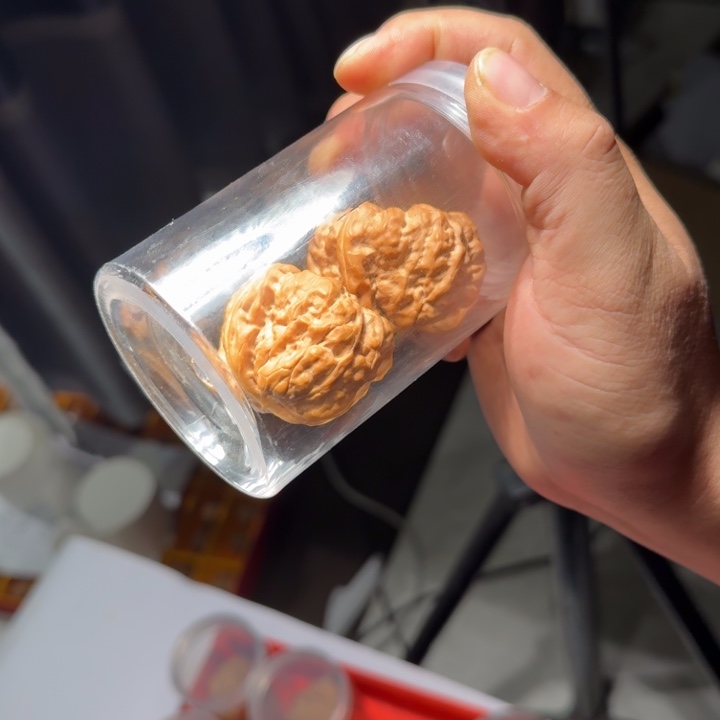 把件文玩核桃25号41mm罐蛤蟆