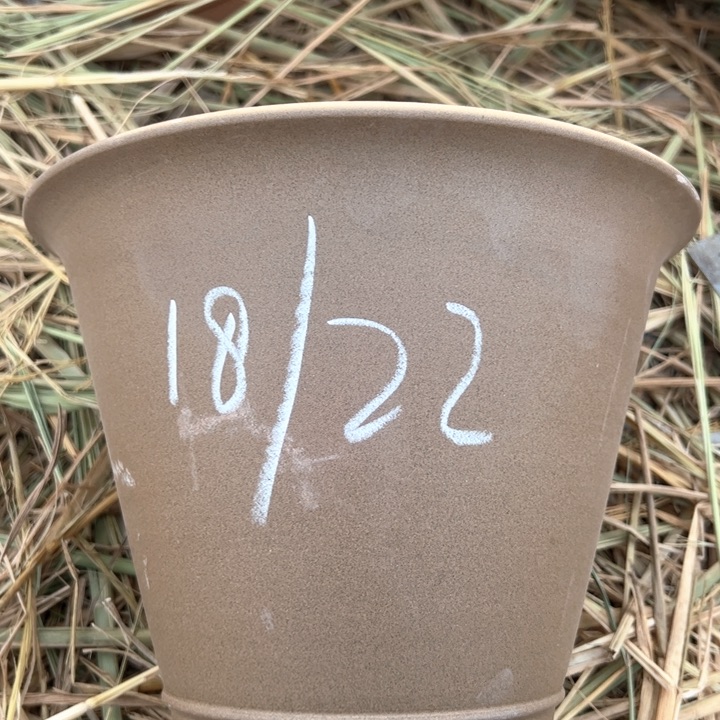 红陶紫砂碗盆口22