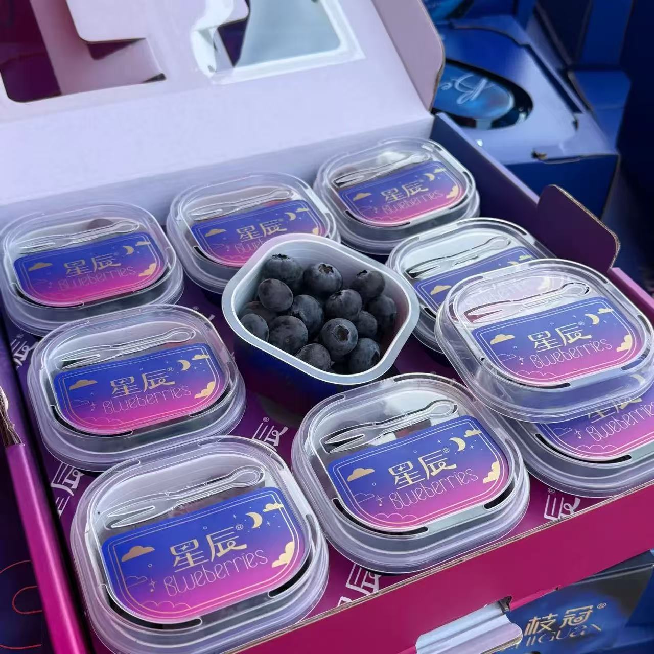 云南星辰蓝莓超能杯 15mm+ 单盒100g 礼盒9杯装 甜脆花香蓝莓（YH）