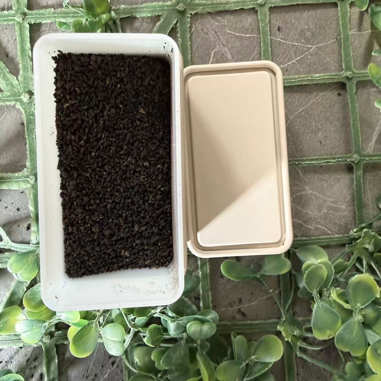 雨腾古茶 ”万B YW真S"J世核J能30g/罐（11月30) 