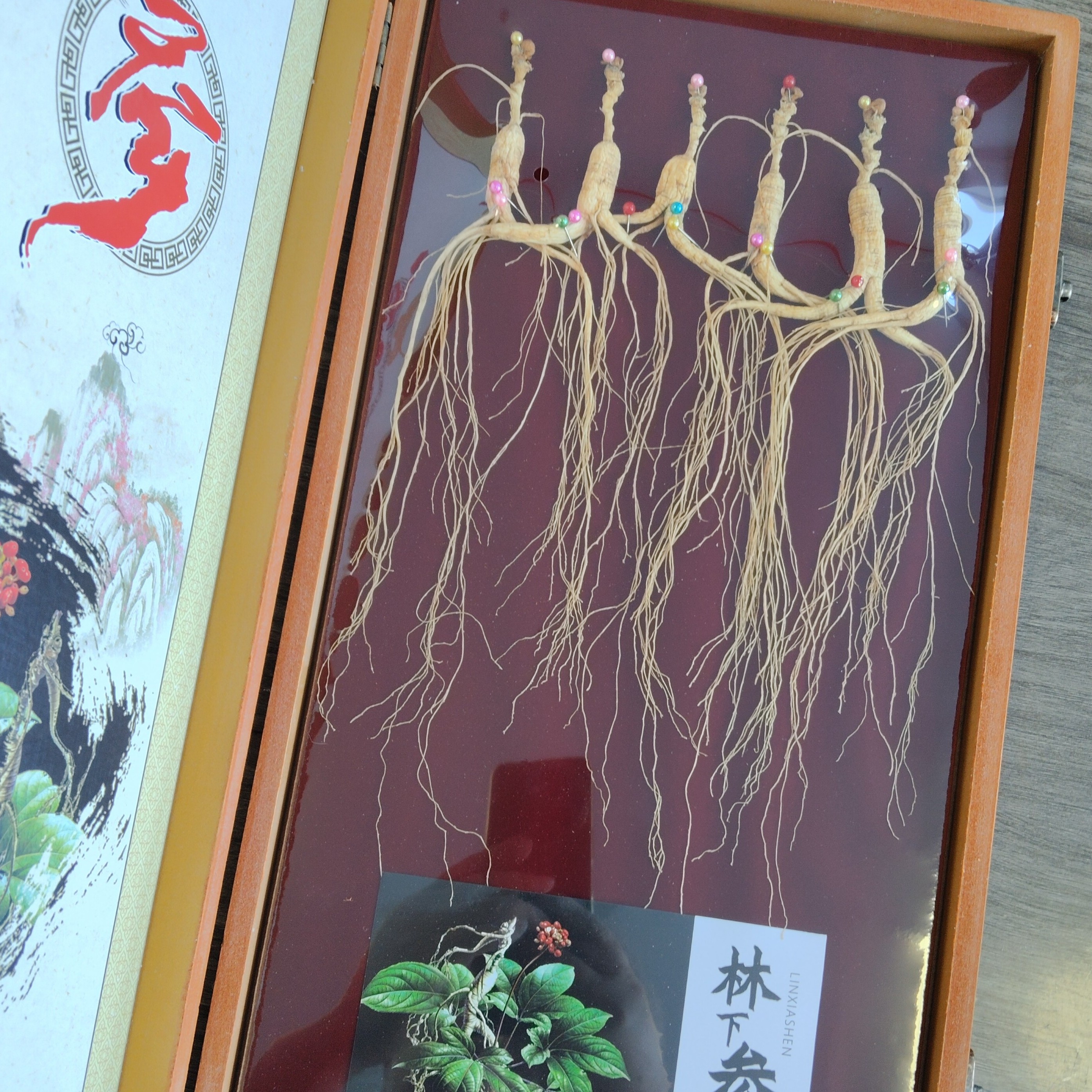 精品林下籽参  林下人参礼盒