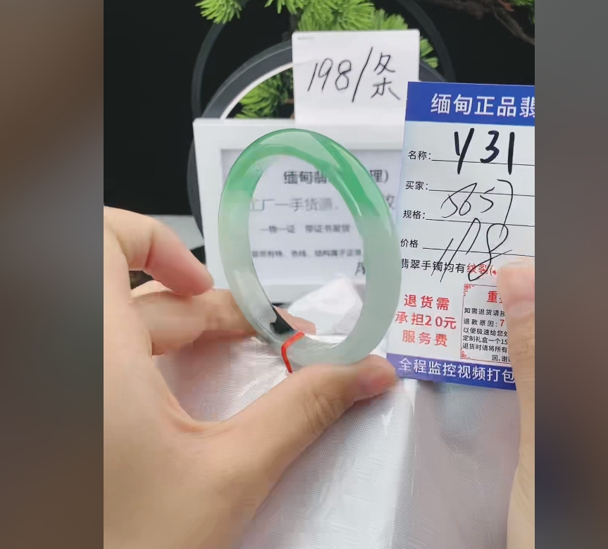 Y31缅甸翡翠手镯处理198/条【一物一证】实物以直播间为准