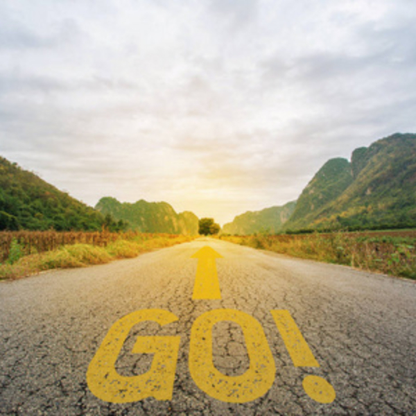 娟  新中式风 100桑蚕丝  多色【长款】打底裤 039