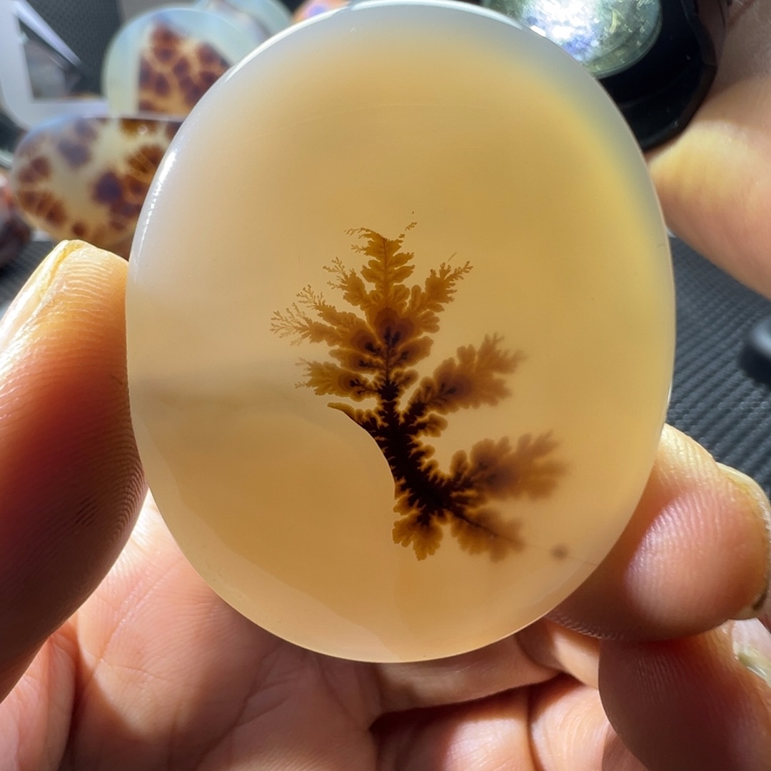 未镶嵌玛瑙/玉髓珠宝奇石