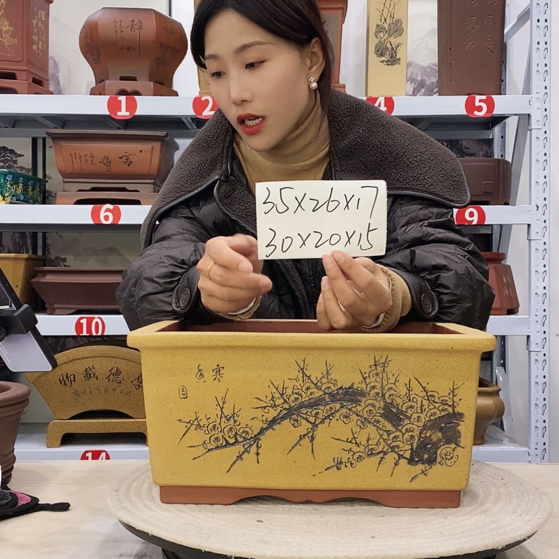 紫砂花盆紫砂花盆