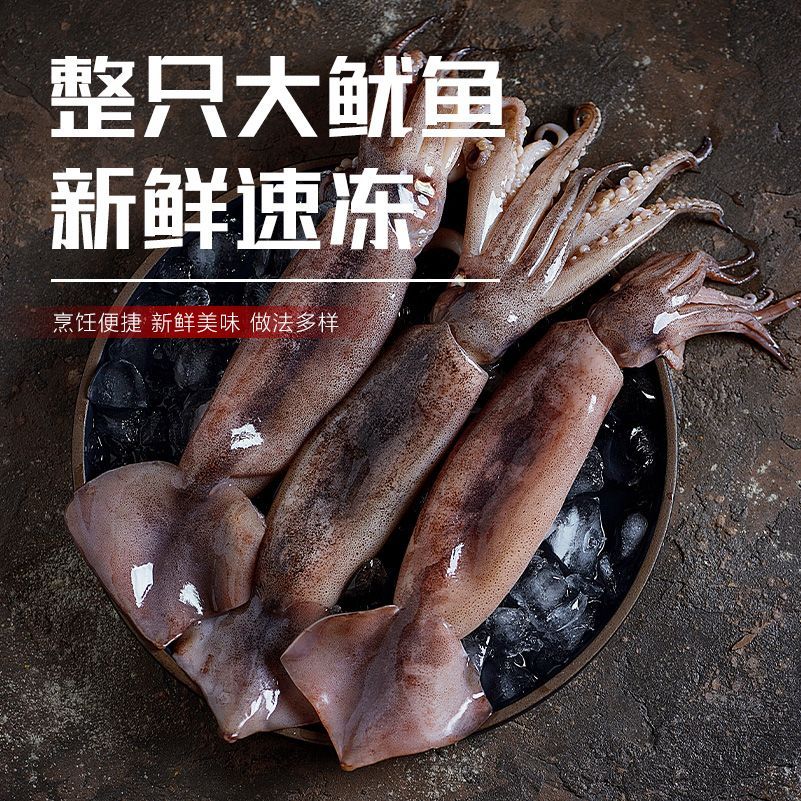 【原浆带墨不缩水 单条独立包装】新鲜整条大鱿鱼 3斤送2斤 5大斤