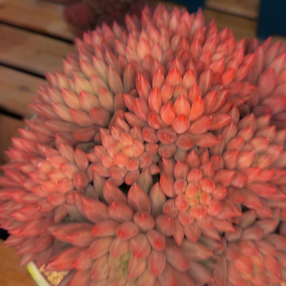 锅****曲健健康康健健康康健健康康咯哦