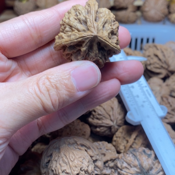 放***铁把件文玩核桃文玩