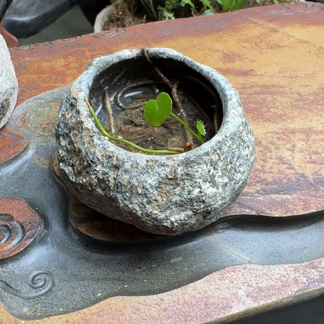 山***哥盆盆盆茶周边摆件