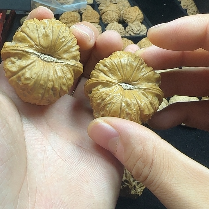 逆***鱼吊坠龙脊菩提啊啊啊啊啊啊南瓜1