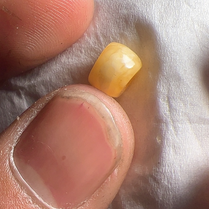 香榧木在这里的时候