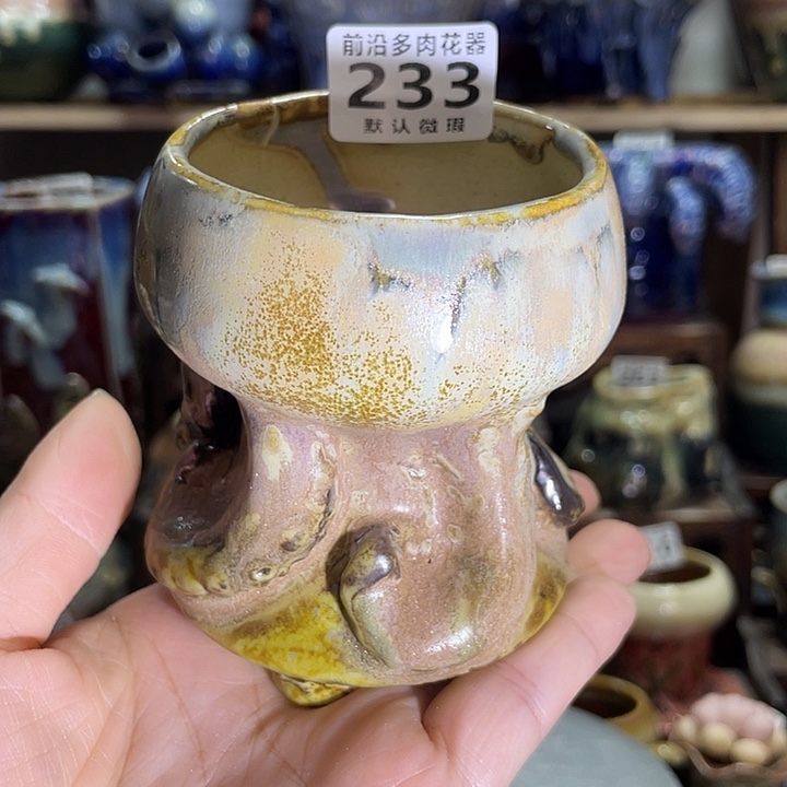 狼盆内口径6高度9