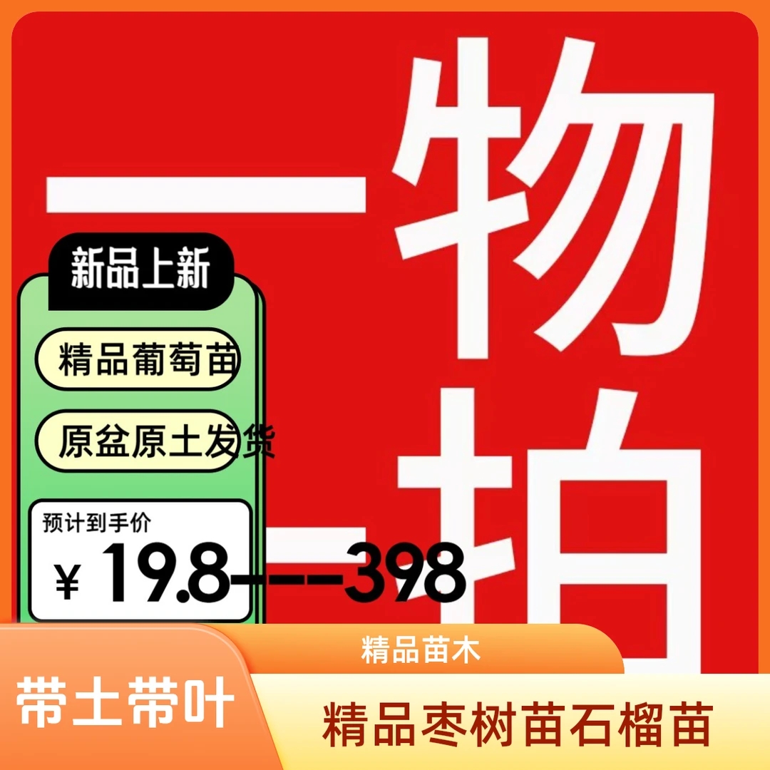 葡萄苗原盆原土果树发货