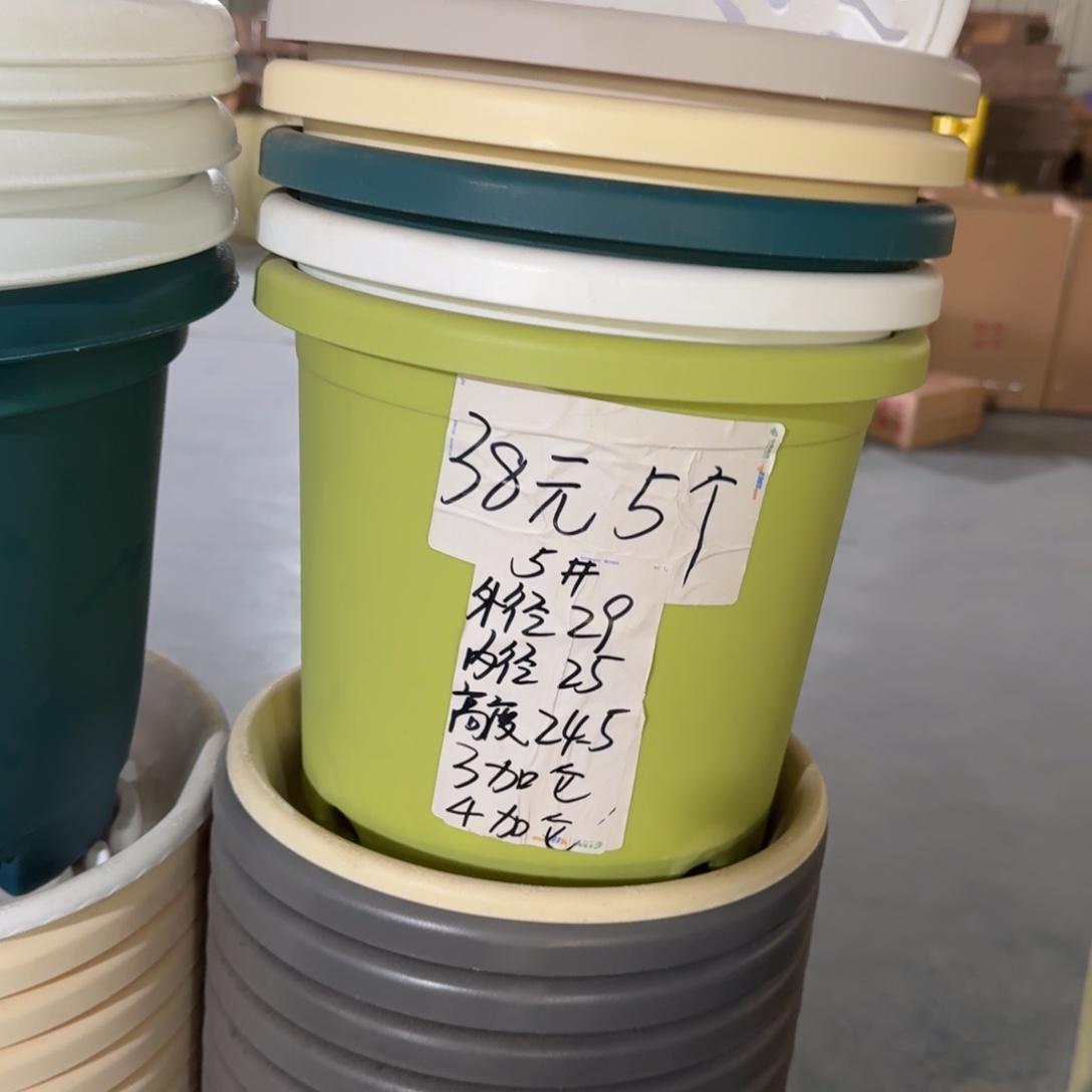 四季5#口径29无拖果绿10个