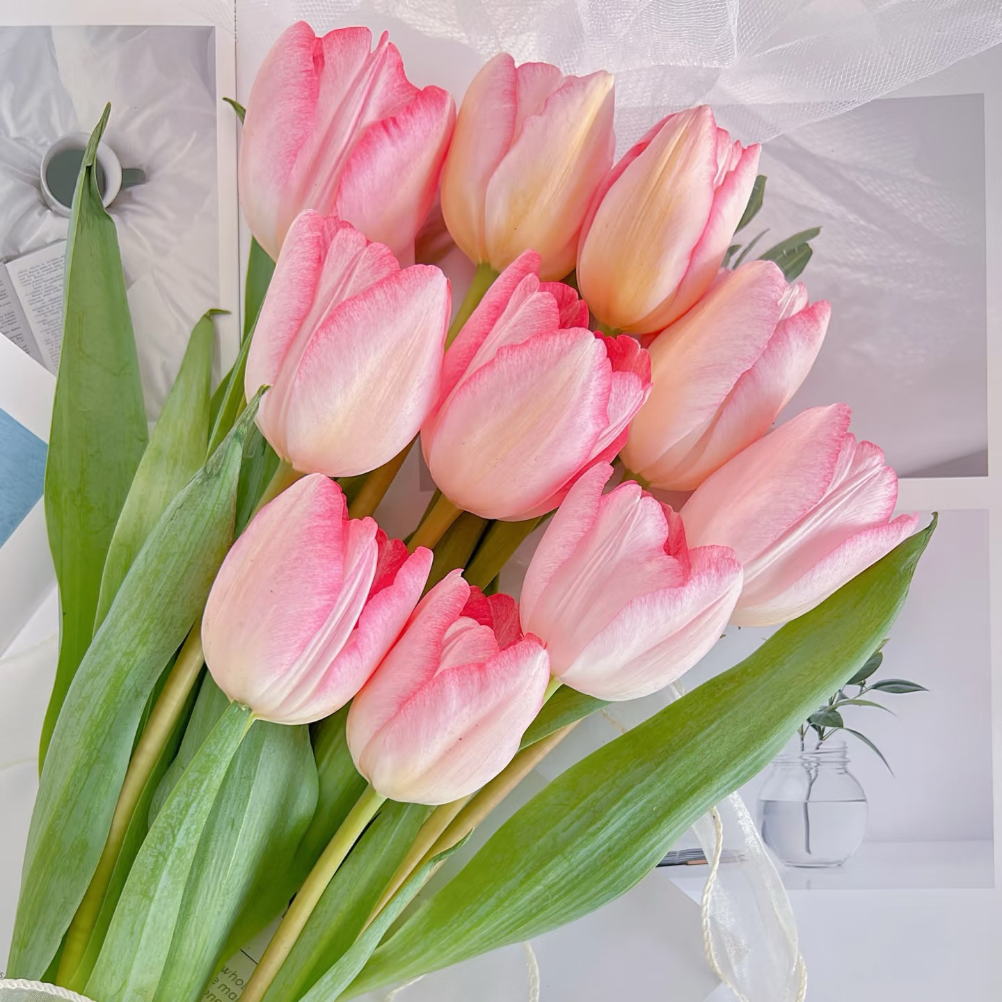 （顺丰包邮）狂人诗郁金香10支装家用商务用花连云港鲜切花基地直发