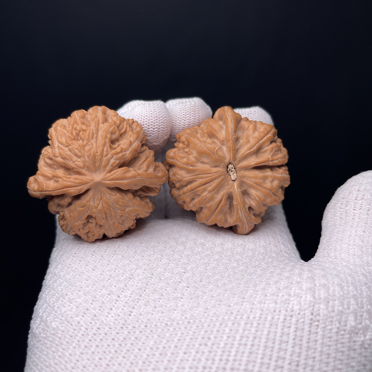 文玩大粗筋狮子头八筋聚顶核桃尺寸48(编号A 255)