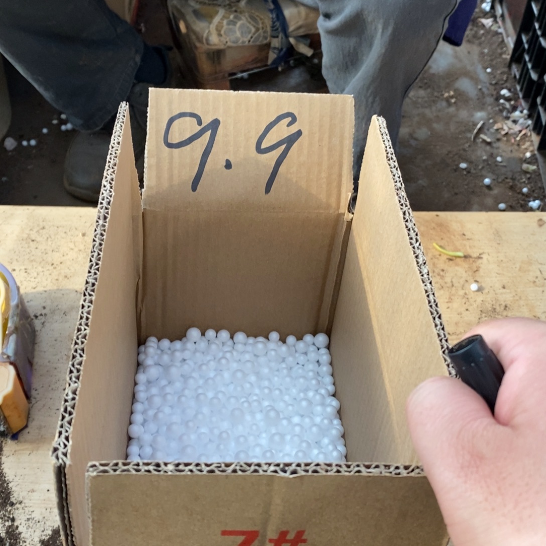 9.9福利体验版123