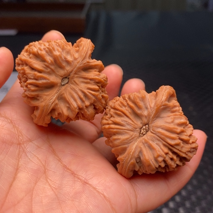把件文玩核桃拉丝蚂蚁42尺