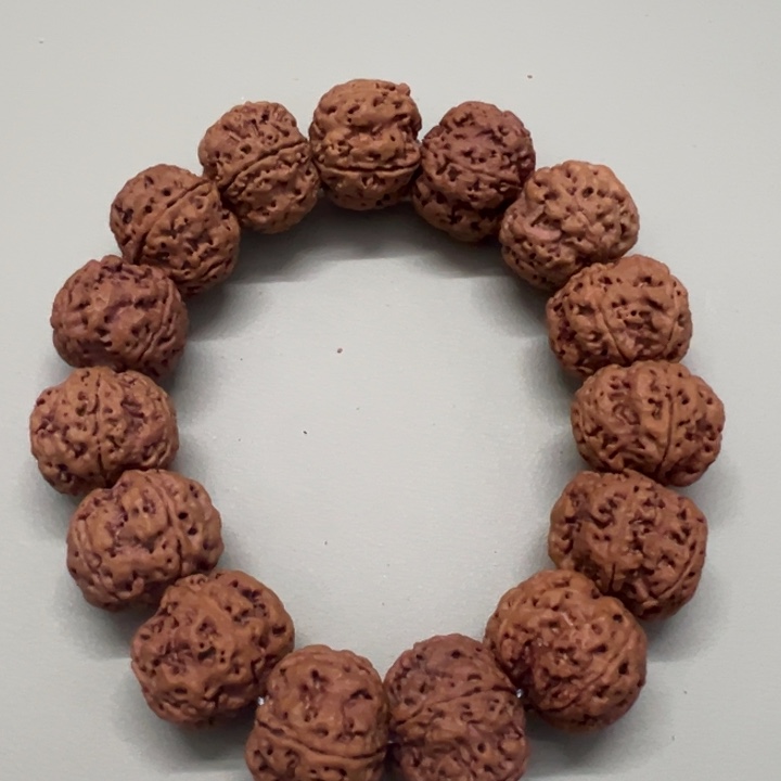 手串金刚菩提16五瓣22矮桩