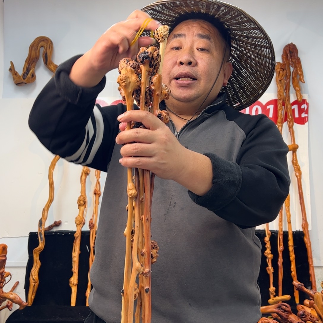 黑果木其他黑果木513