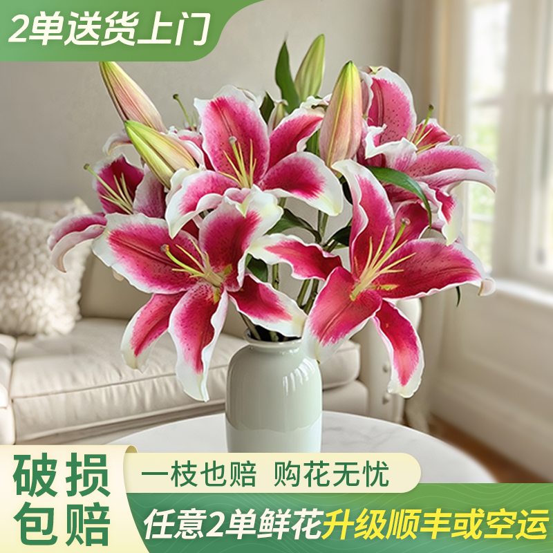 【大聪明卖花】国王香水百合-任意两单鲜花升级快递-元旦福利