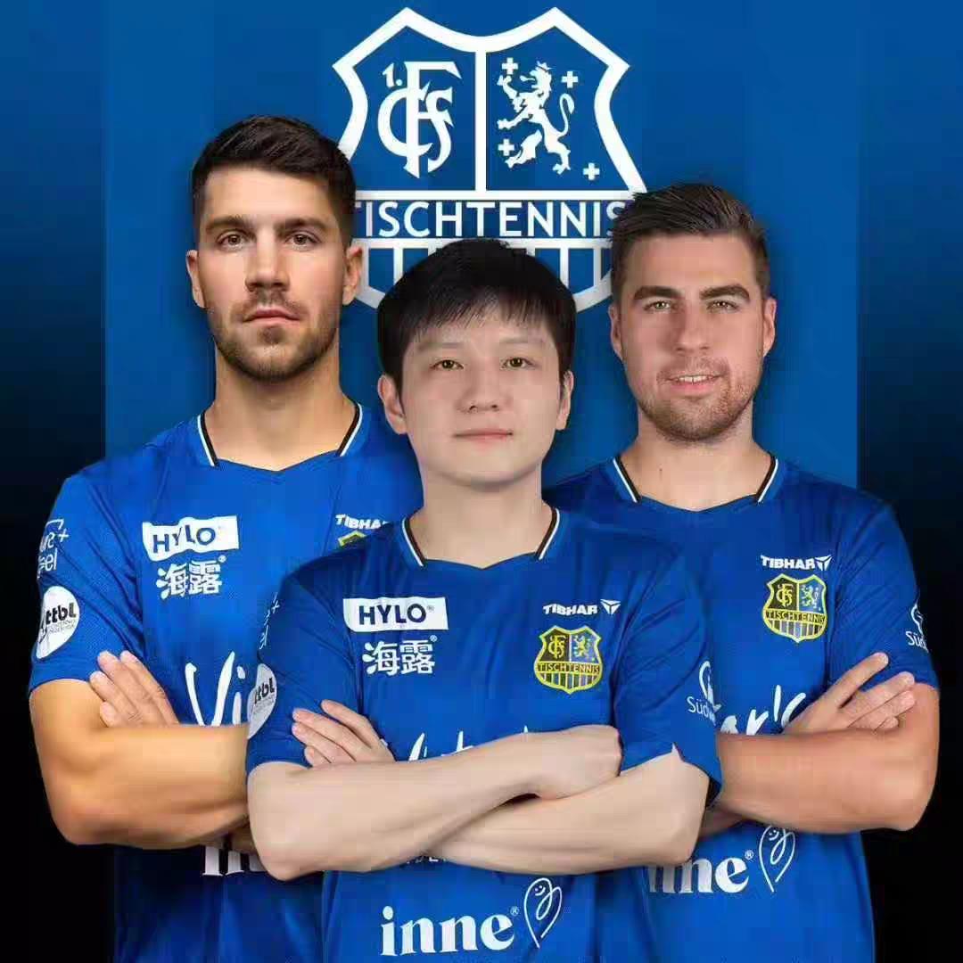 双11特惠26年TIBHAR挺拔新款樊振东乒乓球短袖速干比赛服欧冠联赛