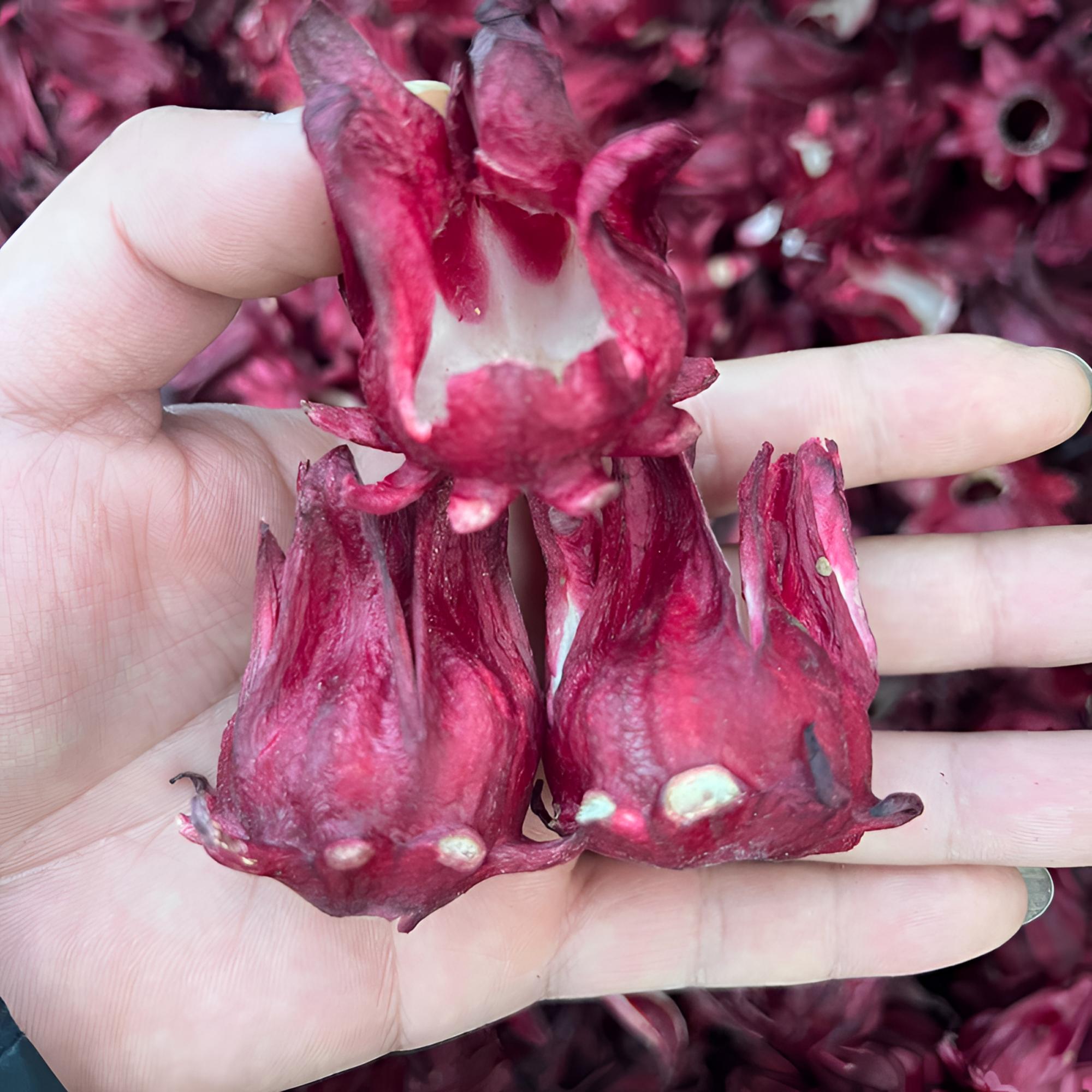 云南农家【洛神椛】干货营养健康玫瑰茄纯正品煮水泡水无熏硫滋补