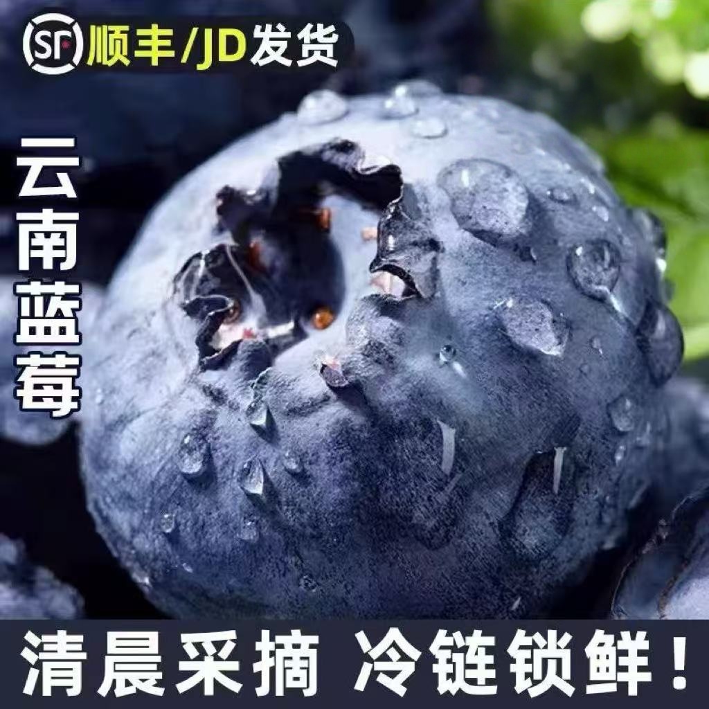 【花香25蓝莓买4盒送4盒】空运精品大果新鲜水果云南澄江抚仙湖基地