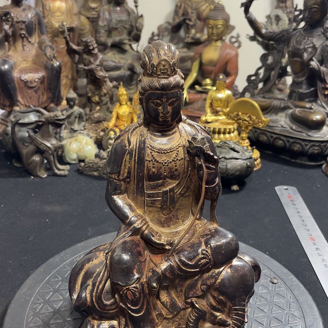 L***n普贤。                  230