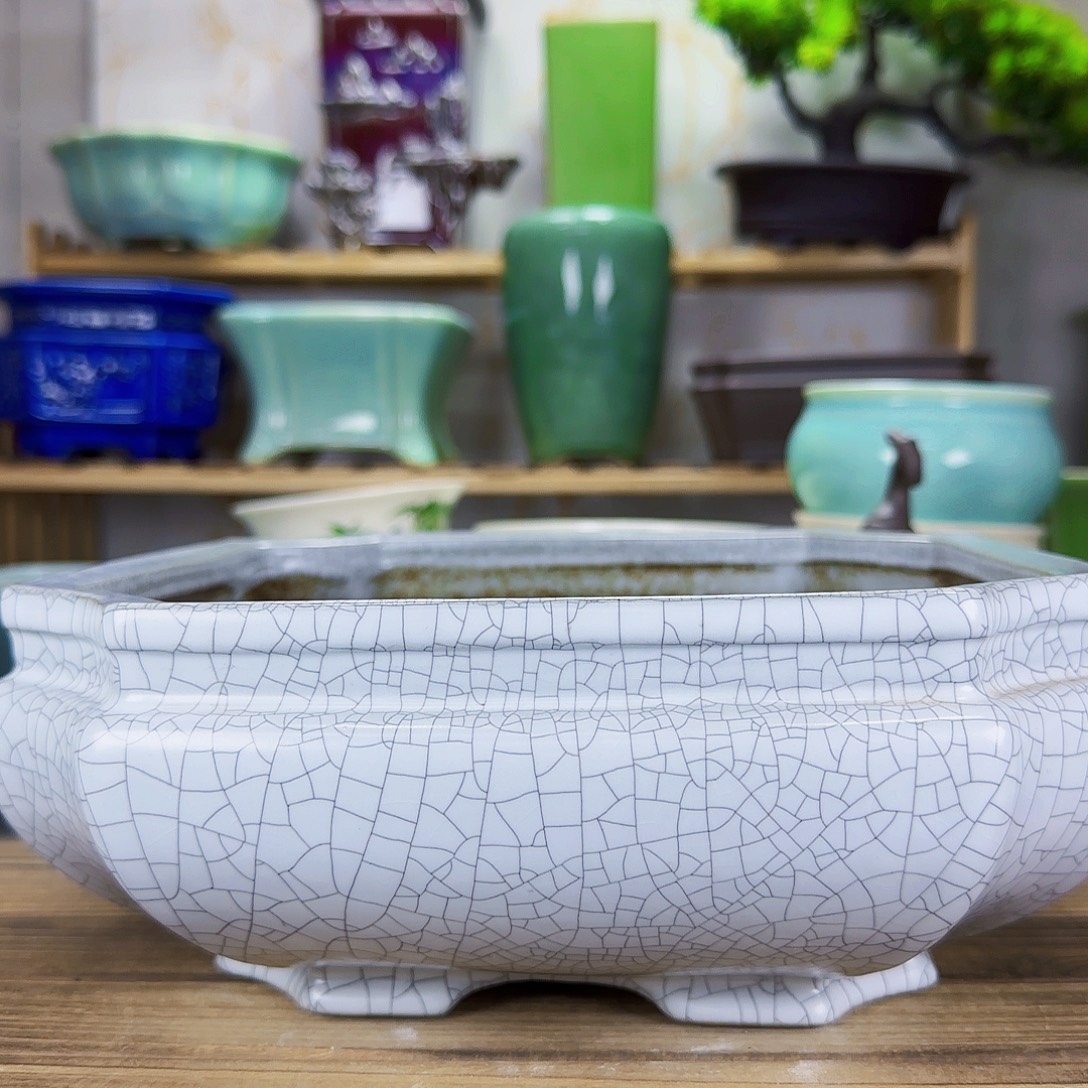 陶瓷花盆特价上新