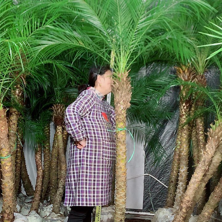 衣***室无花朵1111111111
