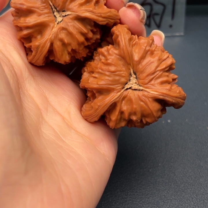 子***鱼文玩核桃吊坠白狮子