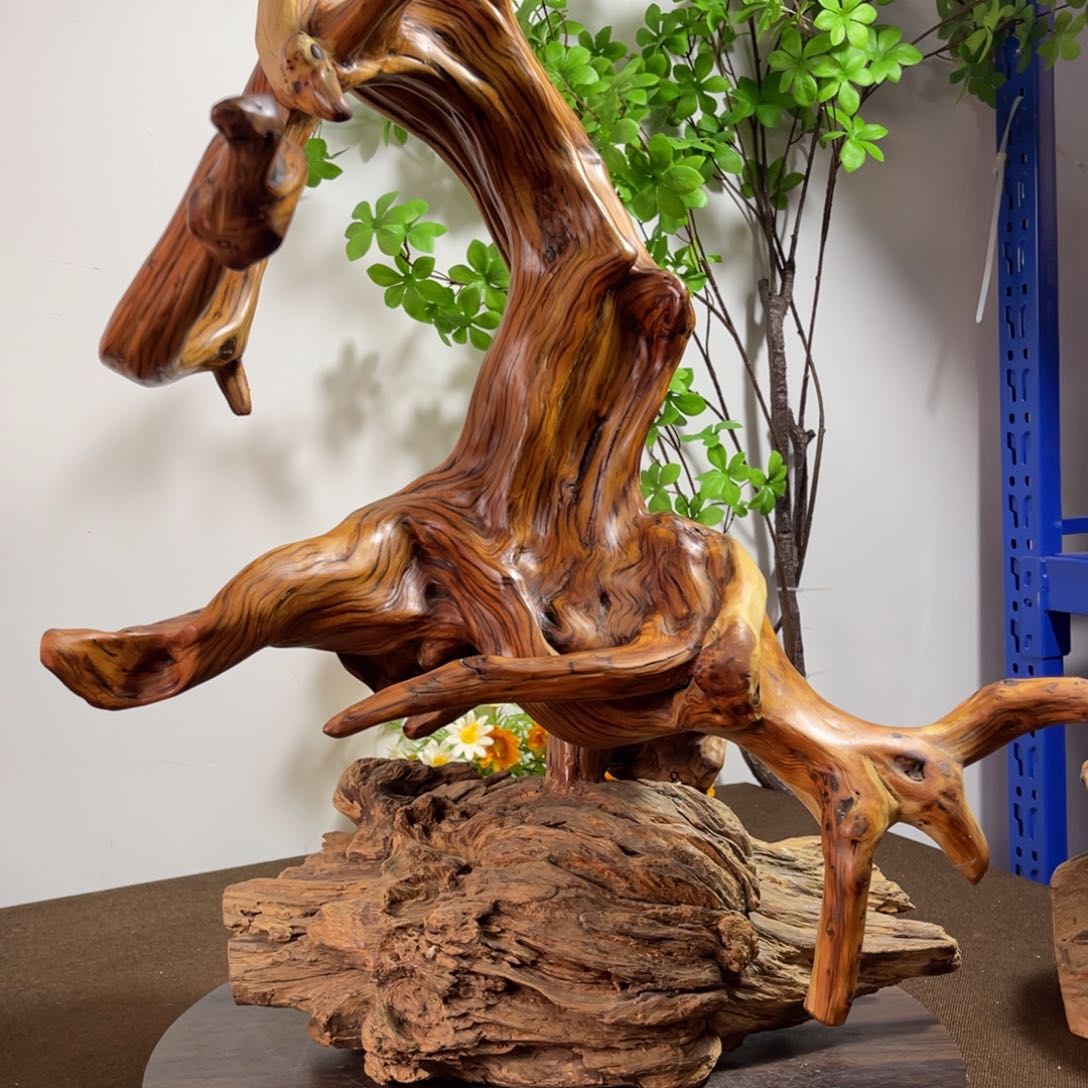 柏木（崖柏）太行8888888