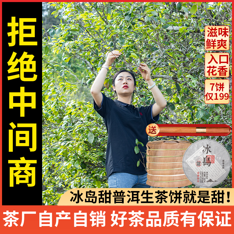 茶厂直销 2020年冰岛春茶原料压制5年干仓存放陈化 价格低品质好！