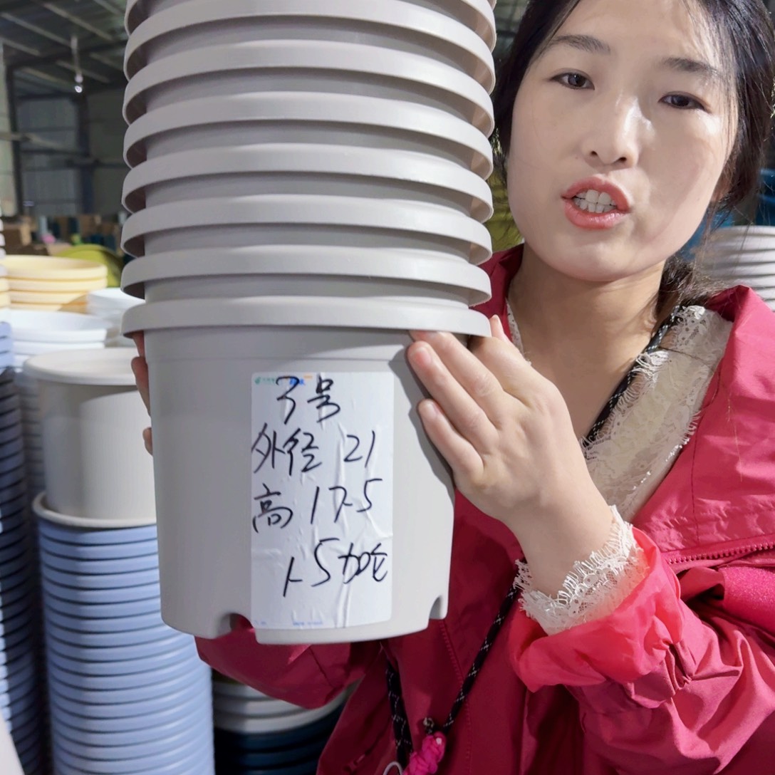 微瑕3#无拖灰白10个