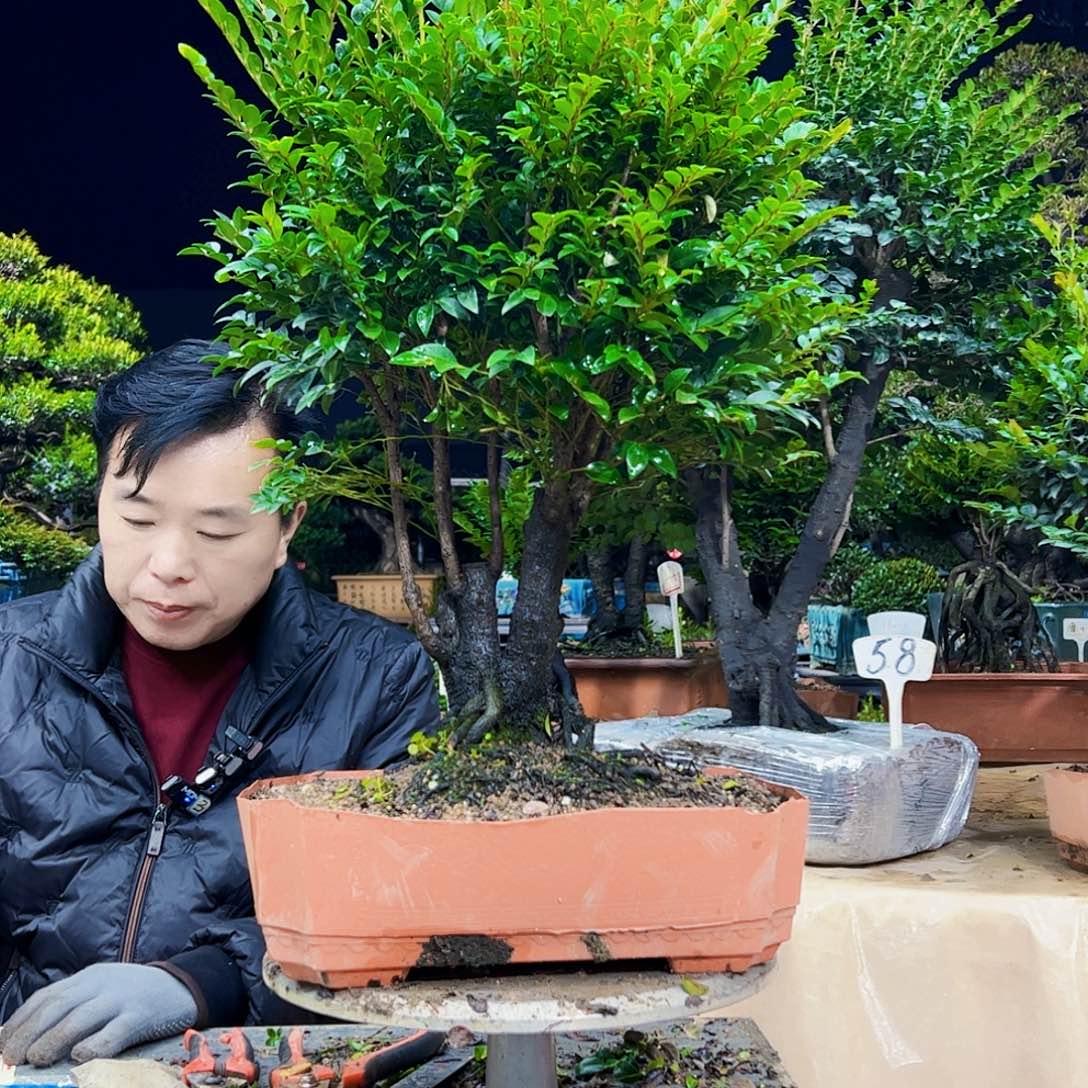 以实际为准大**简