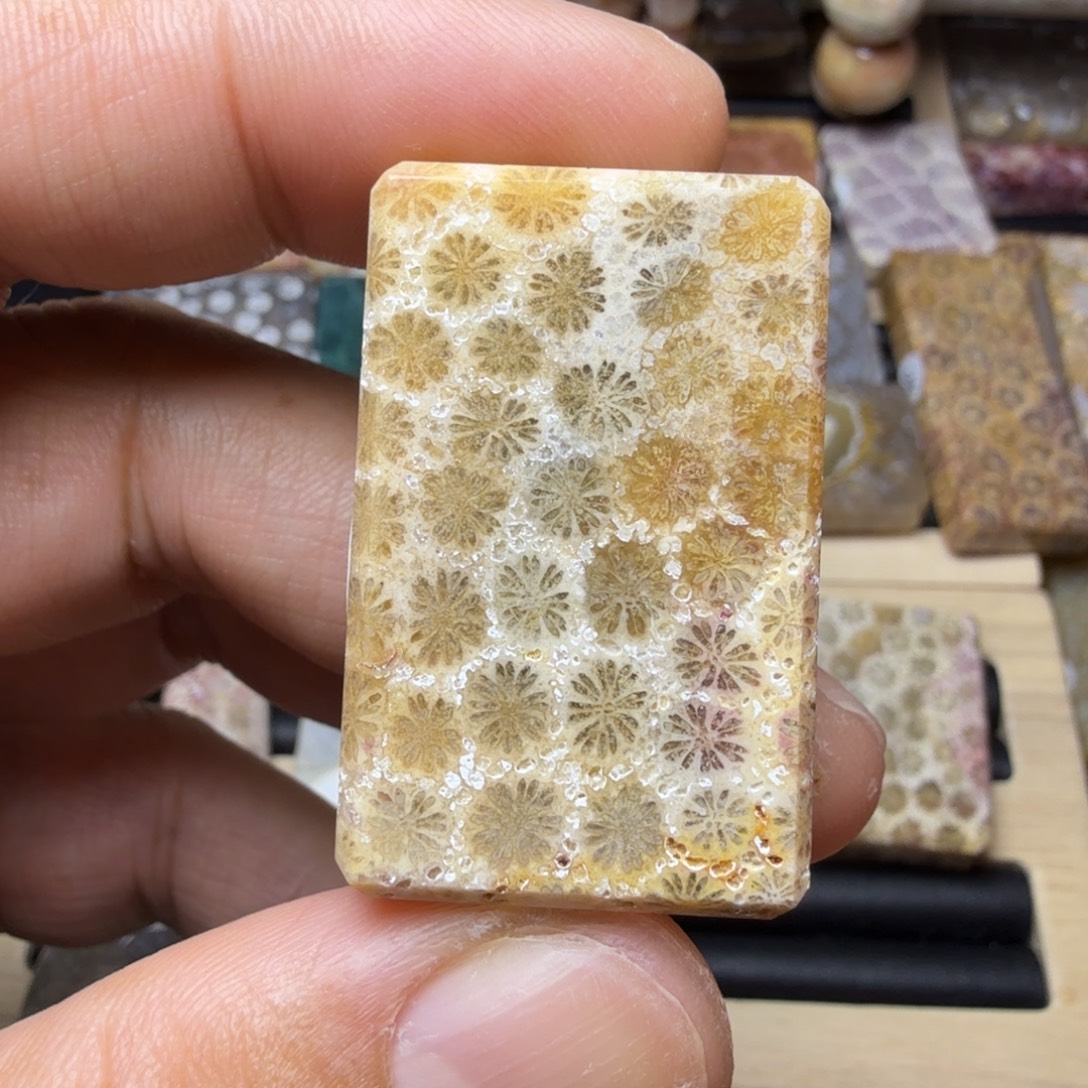 硅化玉未镶嵌纯天然色有你玉石保真色
