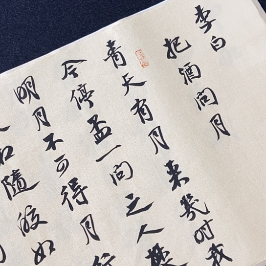 书法张建东老师书法作品