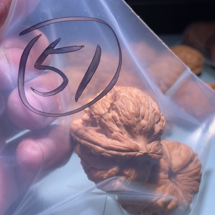文玩核桃吊坠51呃呃呃