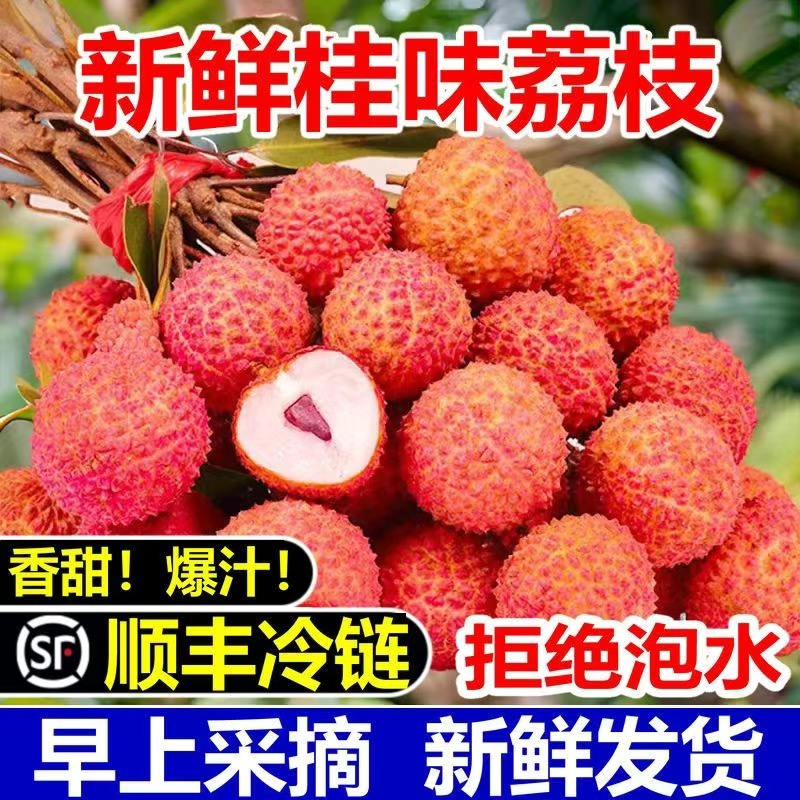 【顺丰冷链】广西/正宗桂味荔枝新鲜现摘当季孕妇水果清甜爽口