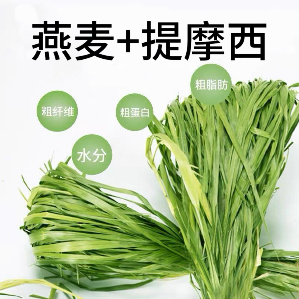 【提摩西+燕麦草组合】烘干提草段燕麦段提草兔兔荷兰猪仓鼠兔子草